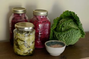 fermented foods for gut health